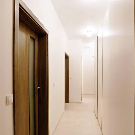 Apartament Koty Center Of *